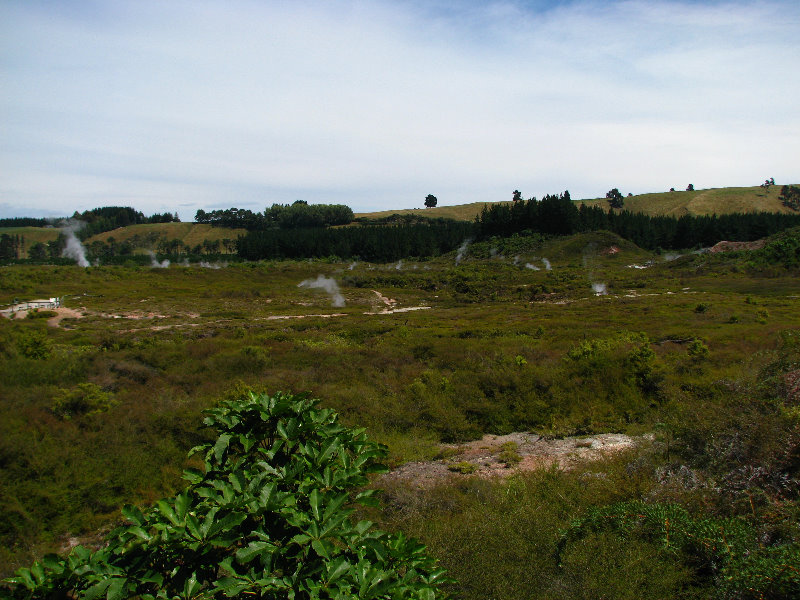 Craters-of-the-Moon-Geothermal-Walk-Taupo-New-Zealand-075
