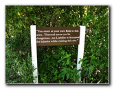 Craters-of-the-Moon-Geothermal-Walk-Taupo-New-Zealand-001