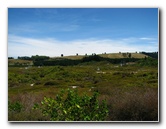 Craters-of-the-Moon-Geothermal-Walk-Taupo-New-Zealand-002