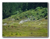 Craters-of-the-Moon-Geothermal-Walk-Taupo-New-Zealand-004