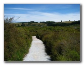 Craters-of-the-Moon-Geothermal-Walk-Taupo-New-Zealand-007