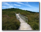 Craters-of-the-Moon-Geothermal-Walk-Taupo-New-Zealand-014