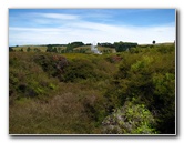 Craters-of-the-Moon-Geothermal-Walk-Taupo-New-Zealand-015