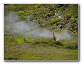 Craters-of-the-Moon-Geothermal-Walk-Taupo-New-Zealand-024