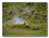 Craters-of-the-Moon-Geothermal-Walk-Taupo-New-Zealand-025