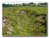 Craters-of-the-Moon-Geothermal-Walk-Taupo-New-Zealand-029