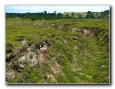 Craters-of-the-Moon-Geothermal-Walk-Taupo-New-Zealand-030