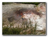 Craters-of-the-Moon-Geothermal-Walk-Taupo-New-Zealand-033