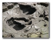 Craters-of-the-Moon-Geothermal-Walk-Taupo-New-Zealand-037