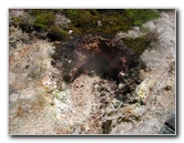 Craters-of-the-Moon-Geothermal-Walk-Taupo-New-Zealand-046