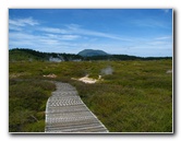 Craters-of-the-Moon-Geothermal-Walk-Taupo-New-Zealand-049