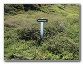 Craters-of-the-Moon-Geothermal-Walk-Taupo-New-Zealand-050