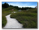 Craters-of-the-Moon-Geothermal-Walk-Taupo-New-Zealand-051