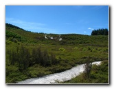 Craters-of-the-Moon-Geothermal-Walk-Taupo-New-Zealand-065