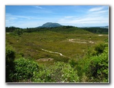 Craters-of-the-Moon-Geothermal-Walk-Taupo-New-Zealand-066