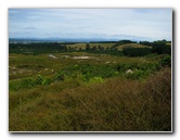 Craters-of-the-Moon-Geothermal-Walk-Taupo-New-Zealand-067