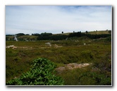 Craters-of-the-Moon-Geothermal-Walk-Taupo-New-Zealand-075