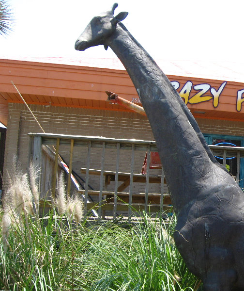 Crazy-Fish-Kayaking-Jacksonville-Beach-FL-004