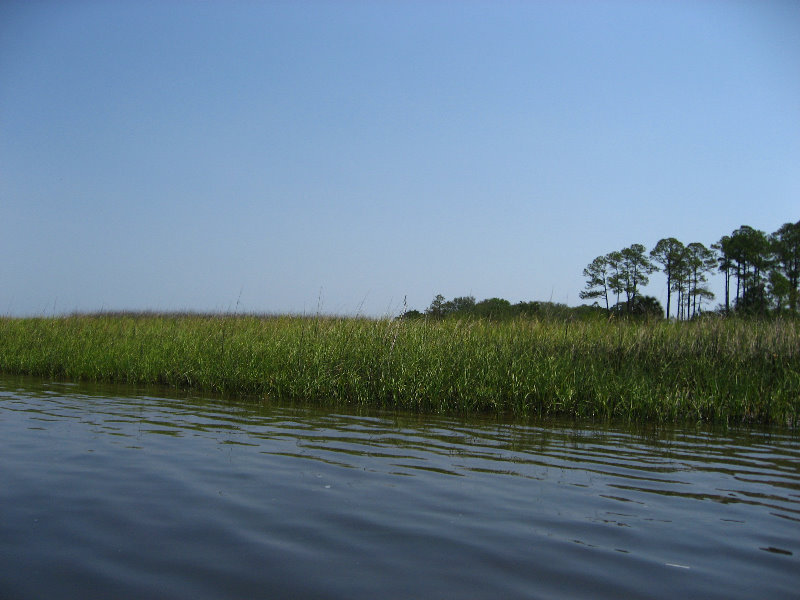 Crazy-Fish-Kayaking-Jacksonville-Beach-FL-012