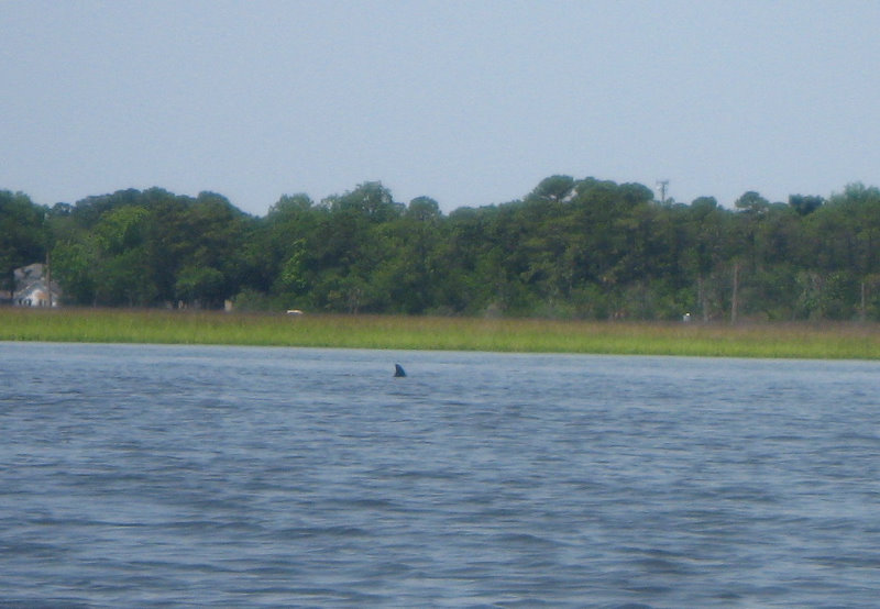 Crazy-Fish-Kayaking-Jacksonville-Beach-FL-031