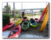 Crazy Fish Kayak Rental & Restaurant Review