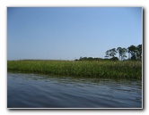Crazy-Fish-Kayaking-Jacksonville-Beach-FL-012