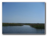 Crazy-Fish-Kayaking-Jacksonville-Beach-FL-018
