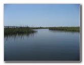 Crazy-Fish-Kayaking-Jacksonville-Beach-FL-021