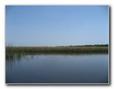 Crazy-Fish-Kayaking-Jacksonville-Beach-FL-022