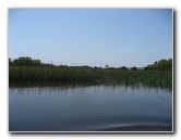 Crazy-Fish-Kayaking-Jacksonville-Beach-FL-023