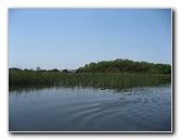 Crazy-Fish-Kayaking-Jacksonville-Beach-FL-024