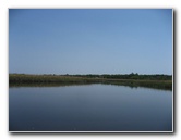 Crazy-Fish-Kayaking-Jacksonville-Beach-FL-025