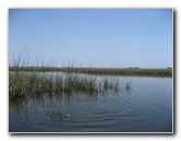 Crazy-Fish-Kayaking-Jacksonville-Beach-FL-029