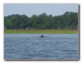 Crazy-Fish-Kayaking-Jacksonville-Beach-FL-030