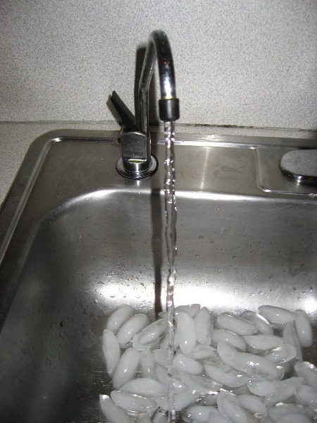 Culligan-IC-EZ-1-Drinking-Water-Filter-Installation-Guide-0012