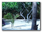 Curacao-Caribbean-Vacation-18