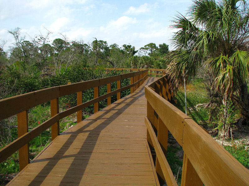 Daggerwing-Nature-Center-Boca-Raton-FL-015