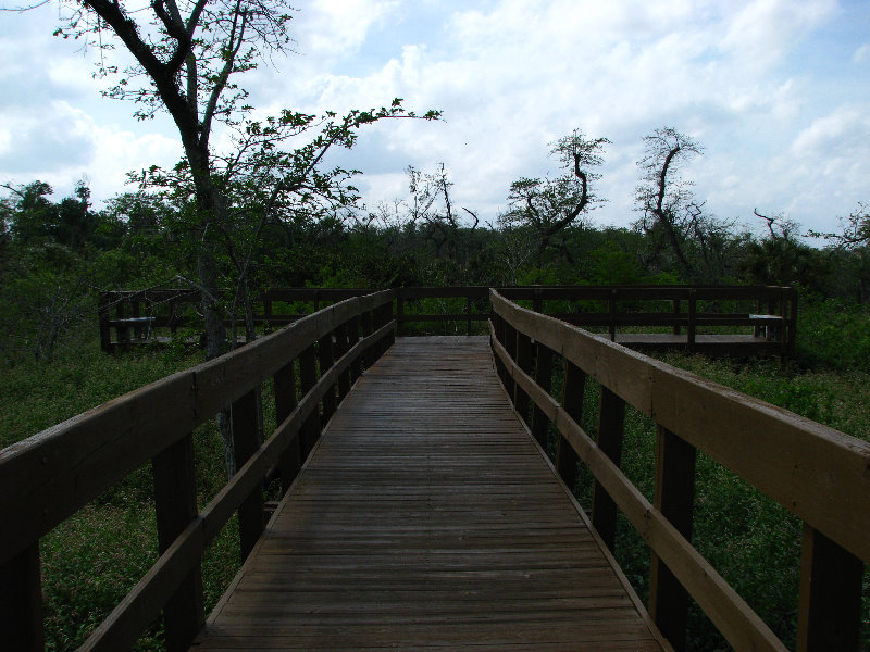 Daggerwing-Nature-Center-Boca-Raton-FL-020