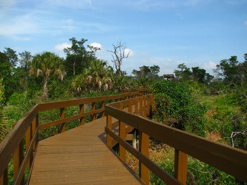 Daggerwing-Nature-Center-Boca-Raton-FL-021