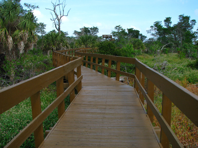 Daggerwing-Nature-Center-Boca-Raton-FL-022