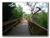 Daggerwing-Nature-Center-Boca-Raton-FL-012