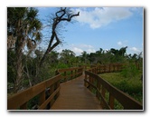 Daggerwing-Nature-Center-Boca-Raton-FL-018
