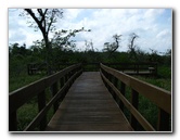 Daggerwing-Nature-Center-Boca-Raton-FL-020