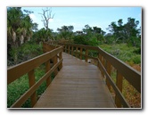 Daggerwing-Nature-Center-Boca-Raton-FL-022