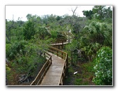 Daggerwing Nature Center - Boca Raton, FL