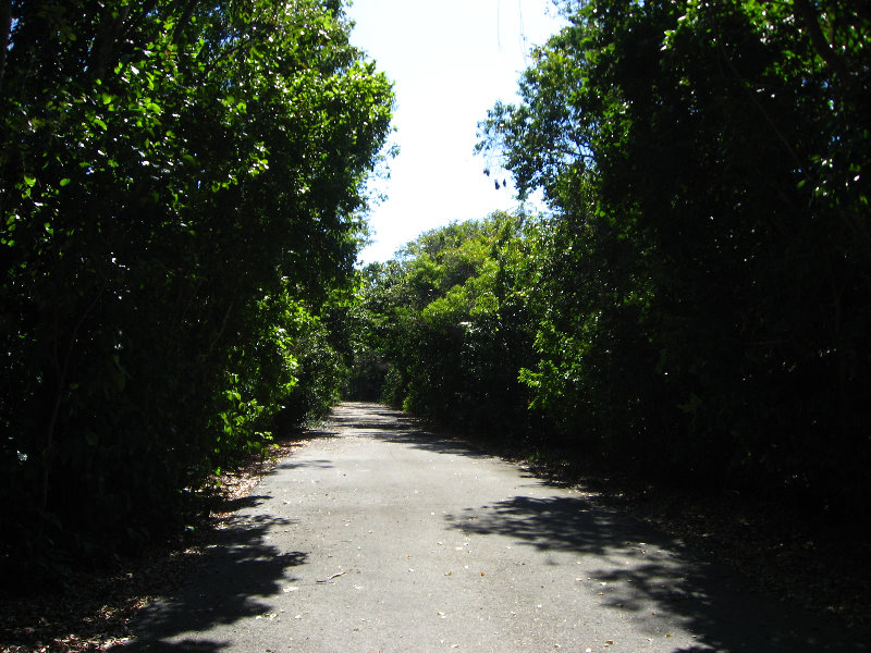 Dagny-Johnson-Key-Largo-Hammock-Botanical-State-Park-005