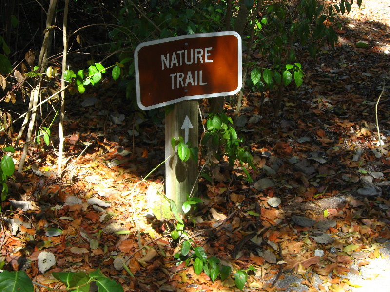 Dagny-Johnson-Key-Largo-Hammock-Botanical-State-Park-009