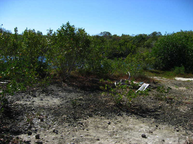 DagnyJohnsonKeyLargoHammockBotanicalStatePark021
