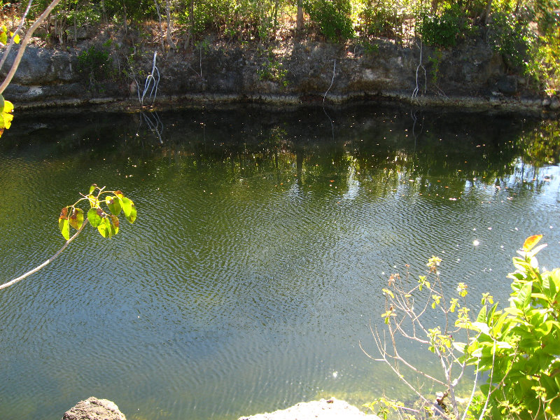 Dagny-Johnson-Key-Largo-Hammock-Botanical-State-Park-031