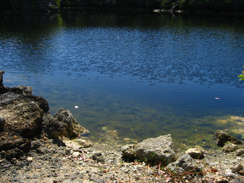 Dagny-Johnson-Key-Largo-Hammock-Botanical-State-Park-034